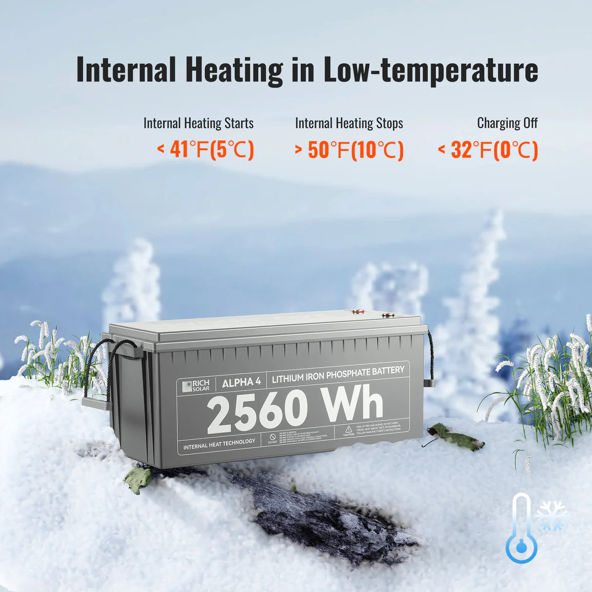 Rich Solar Alpha 4 | 24 V 100 Ah LiFePO₄ Off-Grid Battery | RS-B241S